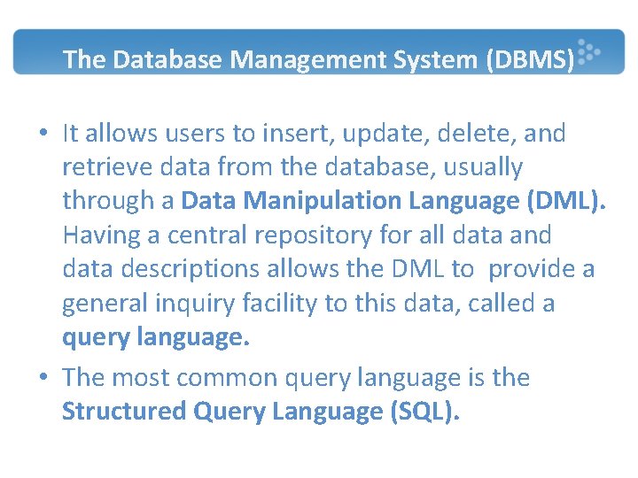 The Database Management System (DBMS) • It allows users to insert, update, delete, and The Database Management System (DBMS) • It allows users to insert, update, delete, and