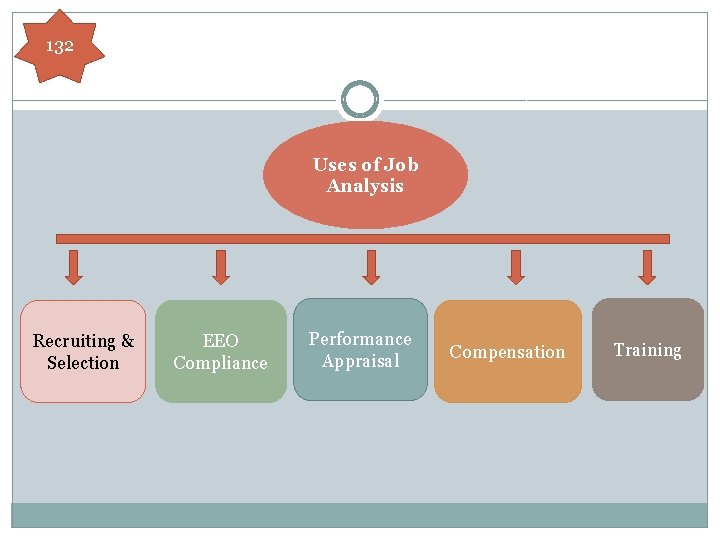 132 Uses of Job Analysis Recruiting & Selection EEO Compliance Performance Appraisal Compensation Training