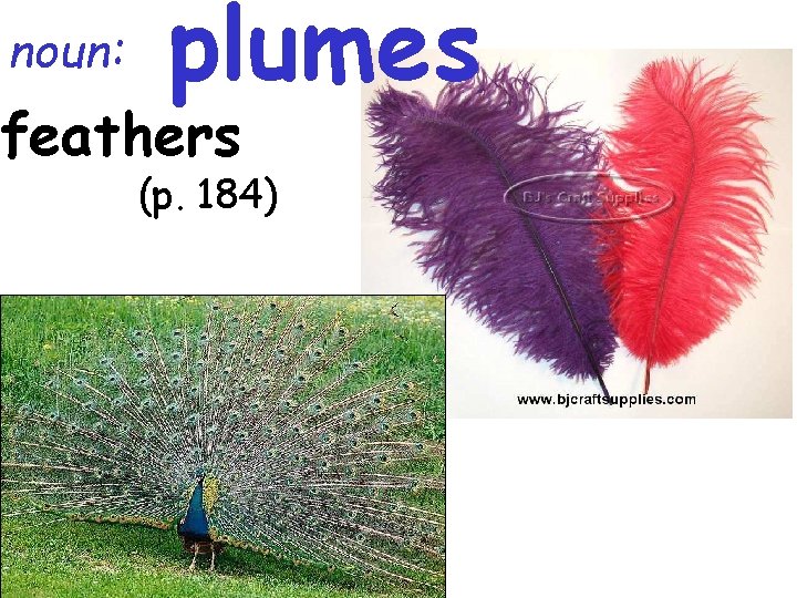 noun: plumes feathers (p. 184) 