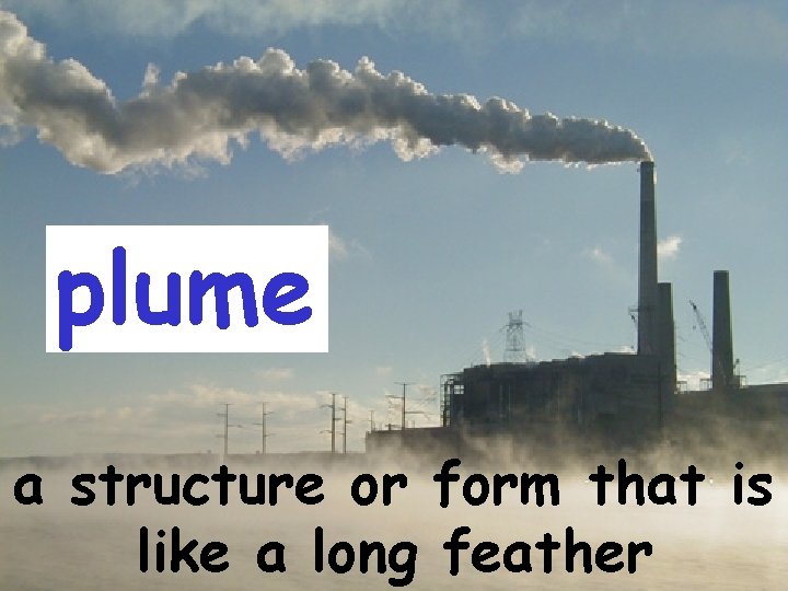 plume a structure or form that is like a long feather 