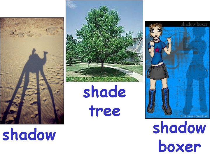 shade tree shadow boxer 