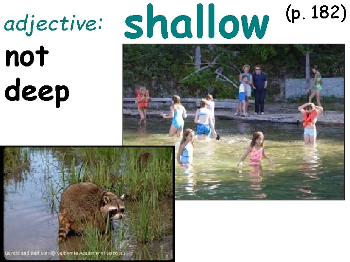 adjective: not deep shallow (p. 182) 