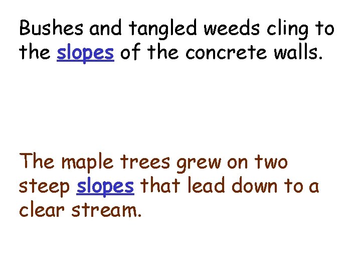 slopes Bushes and tangled weeds cling to the slopes of the concrete walls. The