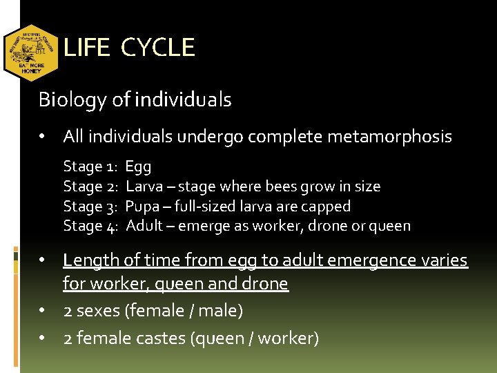 LIFE CYCLE Biology of individuals • All individuals undergo complete metamorphosis Stage 1: Stage