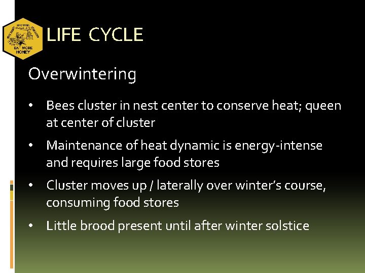 LIFE CYCLE Overwintering • Bees cluster in nest center to conserve heat; queen at