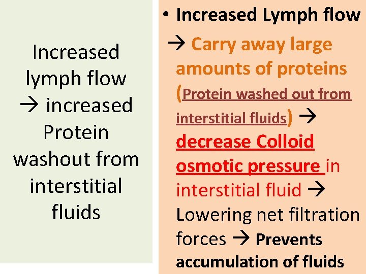 Increased lymph flow increased Protein washout from interstitial fluids • Increased Lymph flow Carry