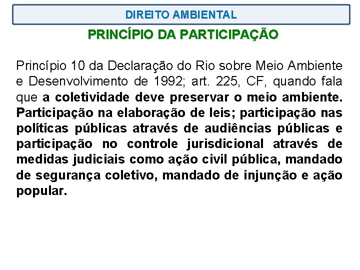 DIREITO AMBIENTAL PRINCÍPIO DA PARTICIPAÇÃO Princípio 10 da Declaração do Rio sobre Meio Ambiente