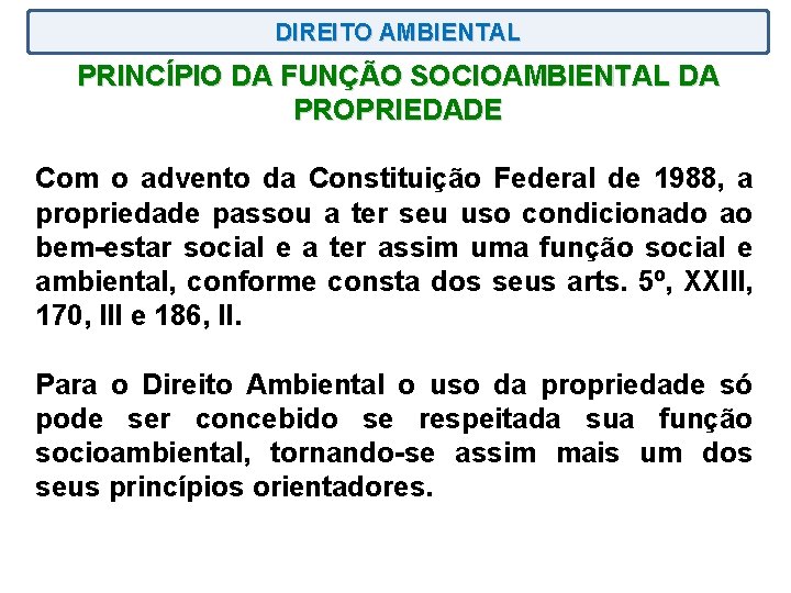 DIREITO AMBIENTAL PRINCÍPIO DA FUNÇÃO SOCIOAMBIENTAL DA PROPRIEDADE Com o advento da Constituição Federal