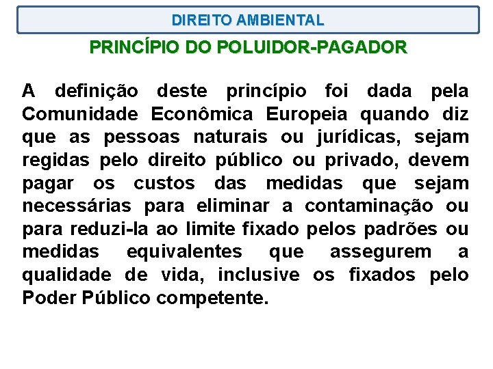 DIREITO AMBIENTAL PRINCÍPIO DO POLUIDOR-PAGADOR A definição deste princípio foi dada pela Comunidade Econômica