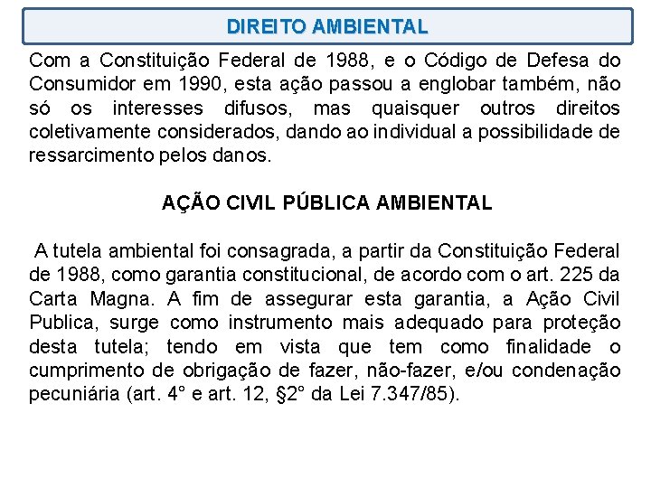 DIREITO AMBIENTAL Com a Constituição Federal de 1988, e o Código de Defesa do