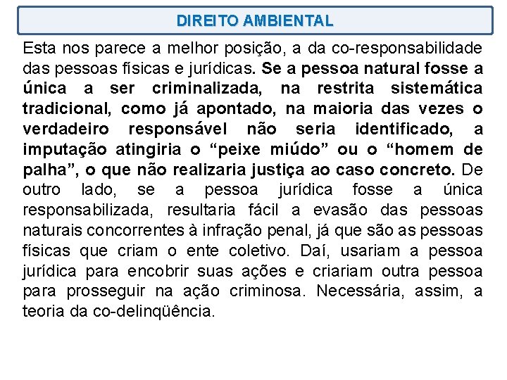 DIREITO AMBIENTAL Esta nos parece a melhor posição, a da co-responsabilidade das pessoas físicas