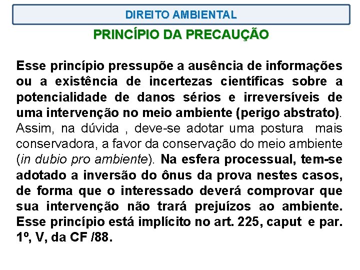 DIREITO AMBIENTAL PRINCÍPIO DA PRECAUÇÃO Esse princípio pressupõe a ausência de informações ou a