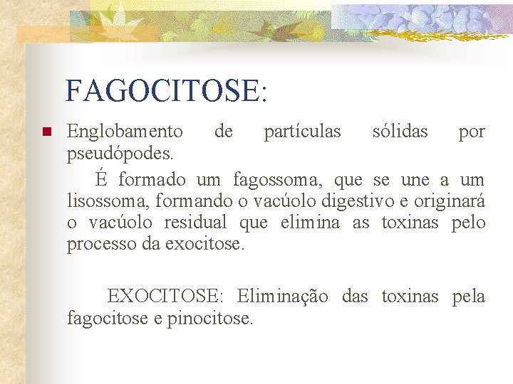 FAGOCITOSE: n Englobamento de partículas sólidas por pseudópodes. É formado um fagossoma, que se