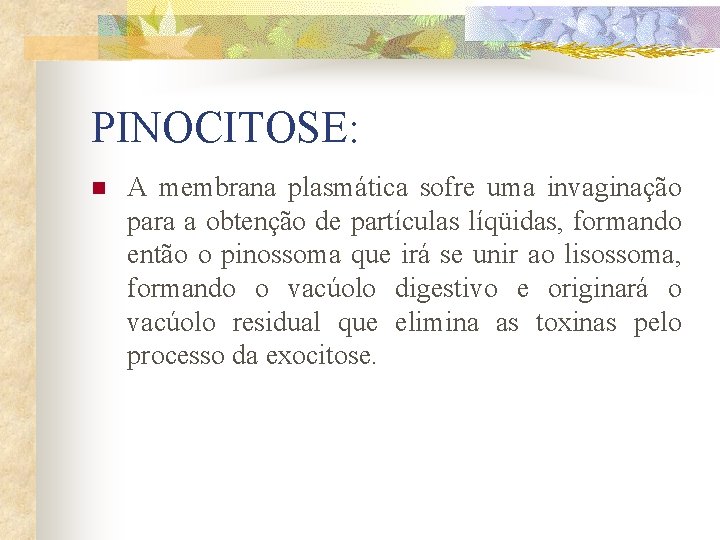 PINOCITOSE: n A membrana plasmática sofre uma invaginação para a obtenção de partículas líqüidas,