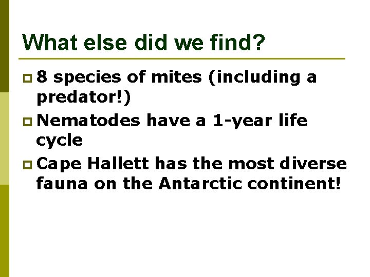 What else did we find? p 8 species of mites (including a predator!) p
