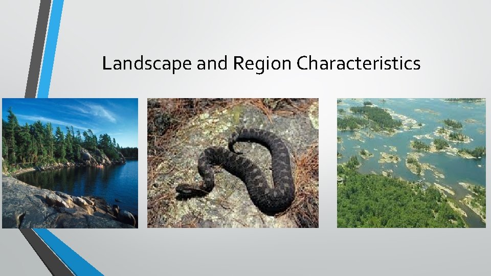 Landscape and Region Characteristics 