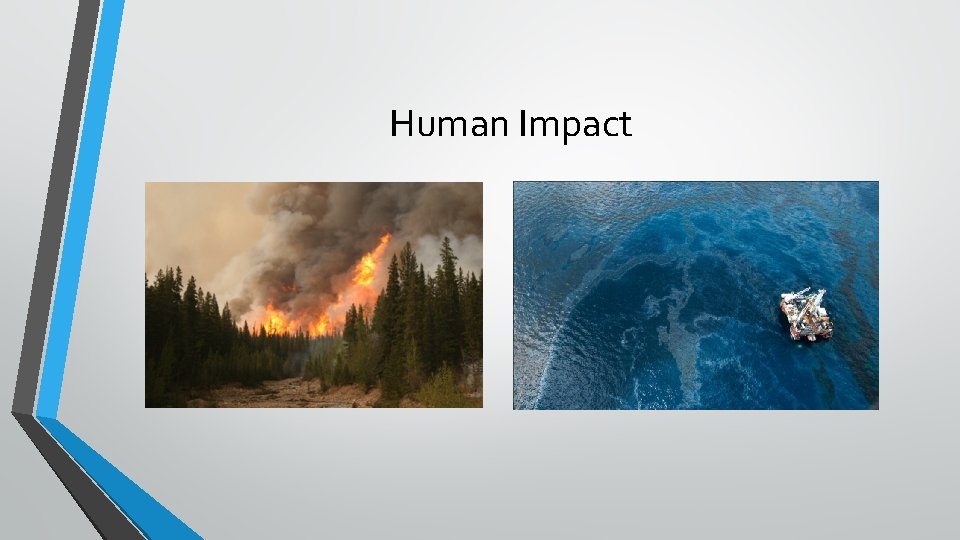 Human Impact 