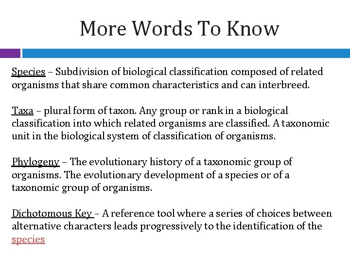 More Words To Know Species – Subdivision of biological classification composed of related organisms