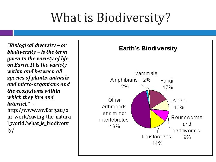 What is Biodiversity? “Biological diversity – or biodiversity – is the term given to