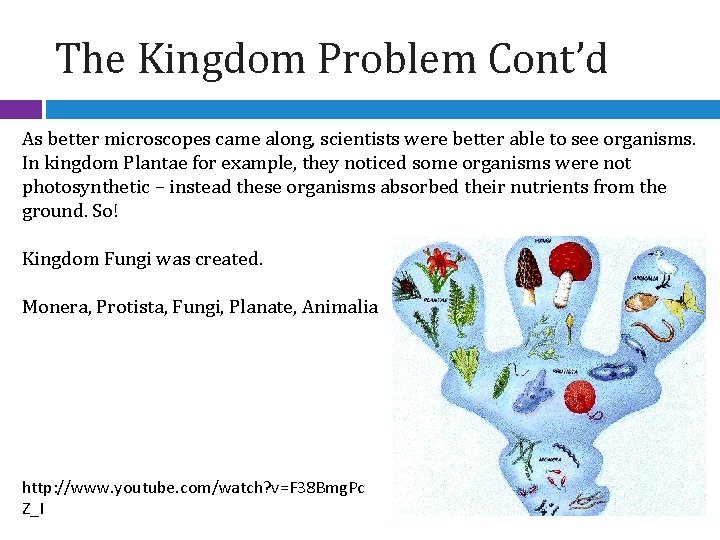 The Kingdom Problem Cont’d As better microscopes came along, scientists were better able to