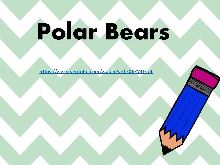 Polar Bears https: //www. youtube. com/watch? v=17 XRSY 4 Esx 4 