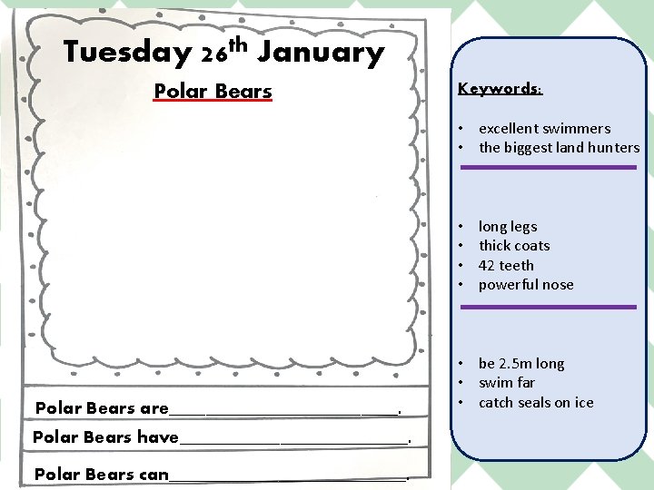 Tuesday 26 th January Polar Bears Keywords: • excellent swimmers • the biggest land