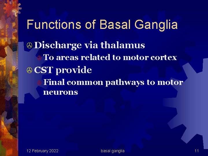 Functions of Basal Ganglia > Discharge > To > CST via thalamus areas related
