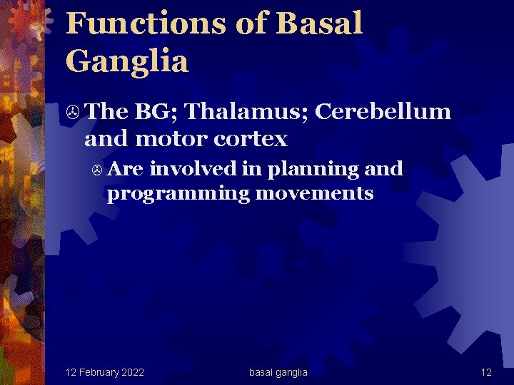 Functions of Basal Ganglia > The BG; Thalamus; Cerebellum and motor cortex > Are