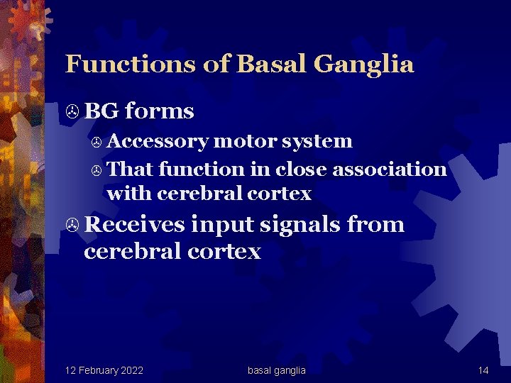 Functions of Basal Ganglia > BG forms > Accessory motor system > That function