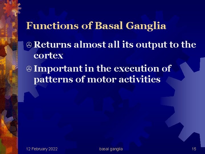 Functions of Basal Ganglia > Returns almost all its output to the cortex >