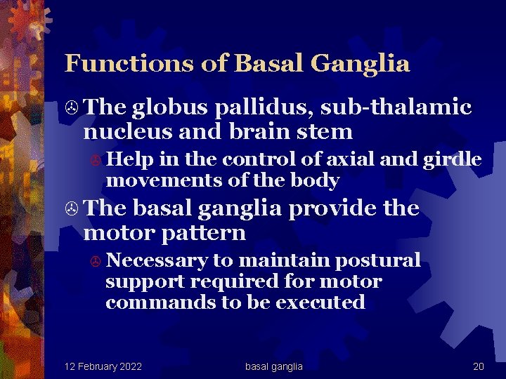 Functions of Basal Ganglia > The globus pallidus, sub-thalamic nucleus and brain stem >