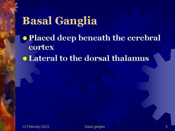 Basal Ganglia ® Placed deep beneath the cerebral cortex ® Lateral to the dorsal