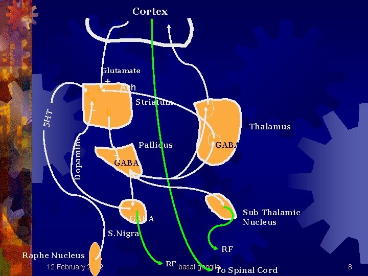Cortex Glutamate + Ach Striatum 5 HT Dopamine Thalamus Pallidus GABA - GABA Sub