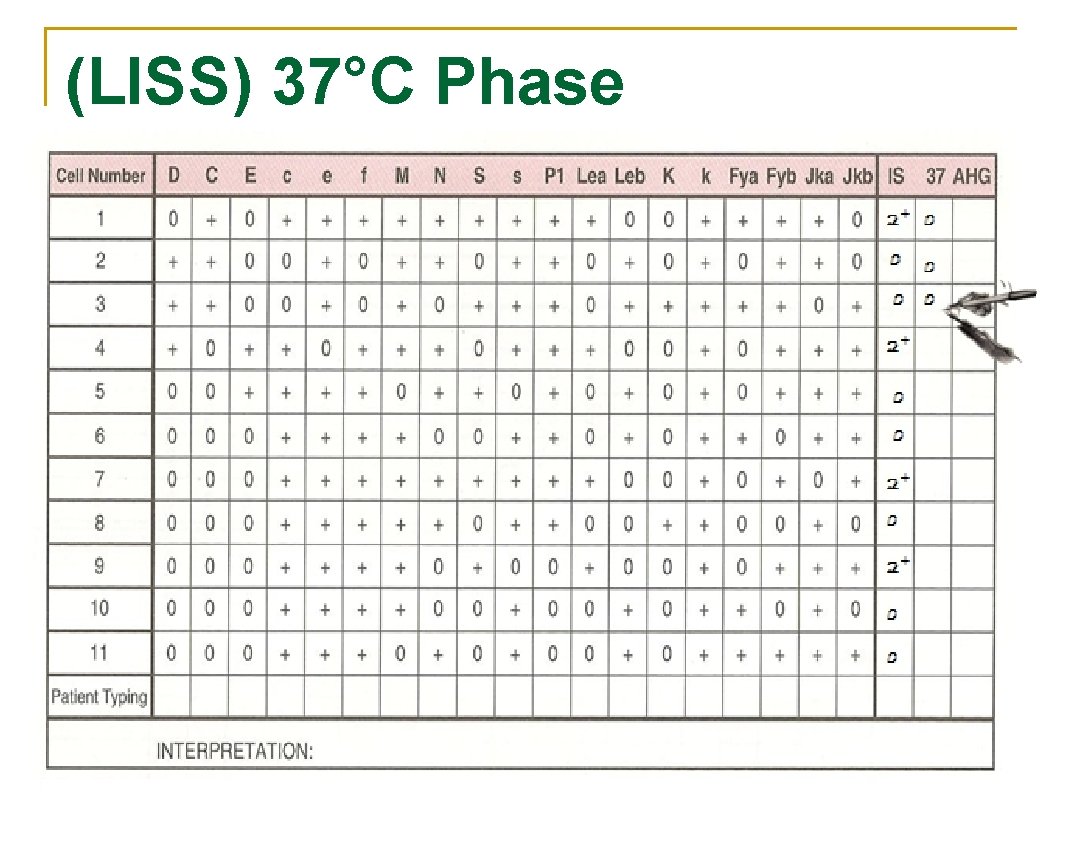(LISS) 37°C Phase 
