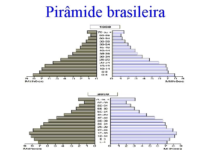 Pirâmide brasileira 