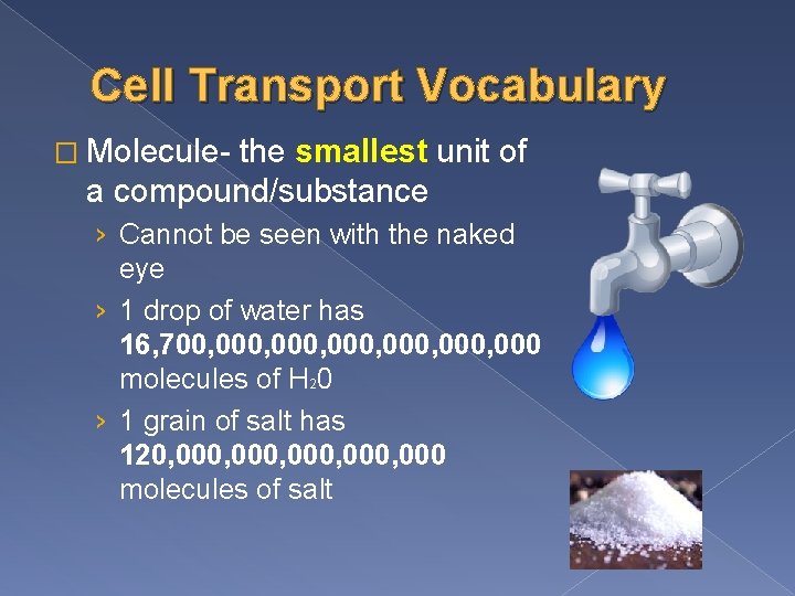 Cell Transport Vocabulary � Molecule- the smallest unit of a compound/substance › Cannot be