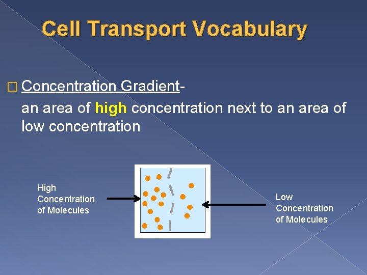 Cell Transport Vocabulary � Concentration Gradientan area of high concentration next to an area