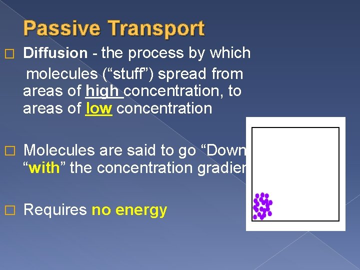 Passive Transport � Diffusion - the process by which molecules (“stuff”) spread from areas
