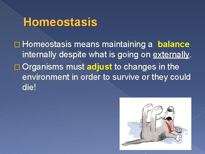 Homeostasis � Homeostasis means maintaining a balance internally despite what is going on externally.