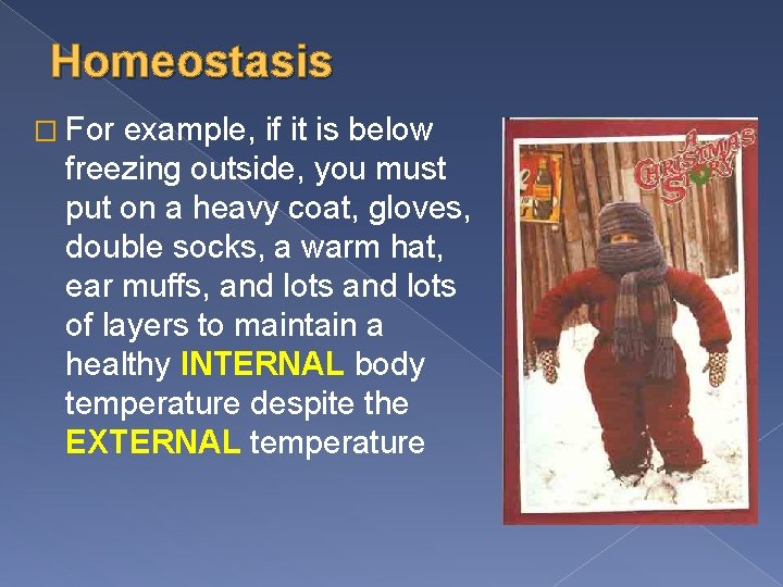 Homeostasis � For example, if it is below freezing outside, you must put on