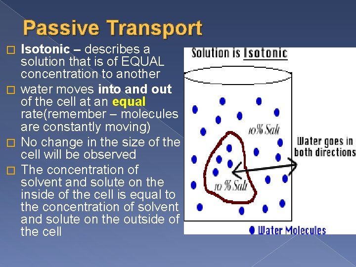 Passive Transport Isotonic – describes a solution that is of EQUAL concentration to another