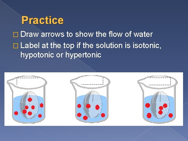Practice � Draw arrows to show the flow of water � Label at the