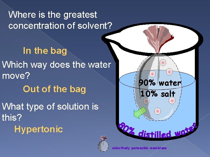 Where is the greatest concentration of solvent? In the bag Which way does the