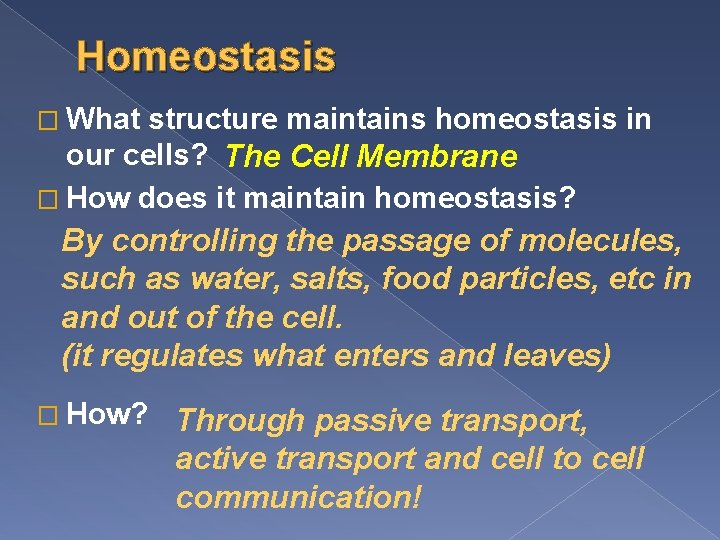 Homeostasis � What structure maintains homeostasis in our cells? The Cell Membrane � How