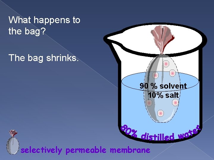 What happens to the bag? The bag shrinks. 90 % solvent 10% salt selectively