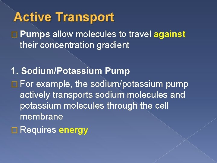Active Transport � Pumps allow molecules to travel against their concentration gradient 1. Sodium/Potassium