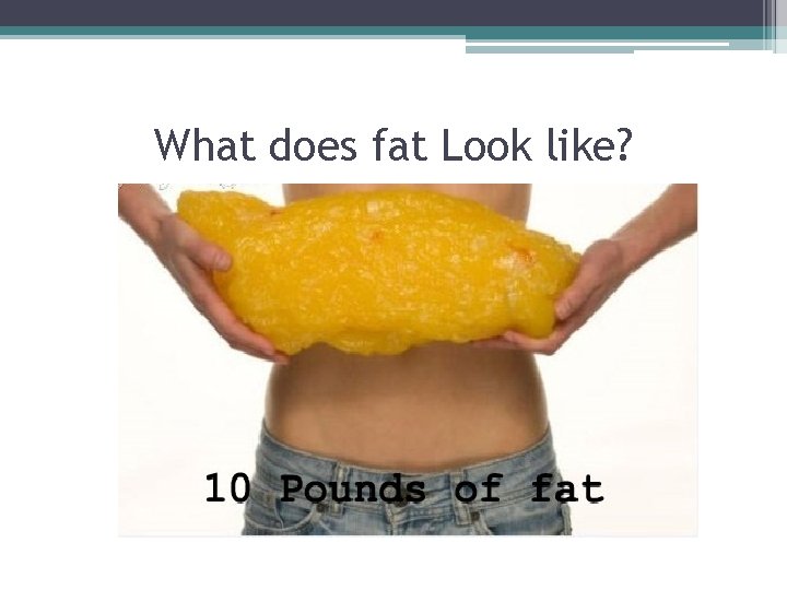 What does fat Look like? 