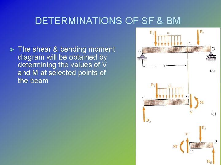 DETERMINATIONS OF SF & BM Ø The shear & bending moment diagram will be