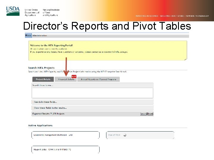 Director’s Reports and Pivot Tables 