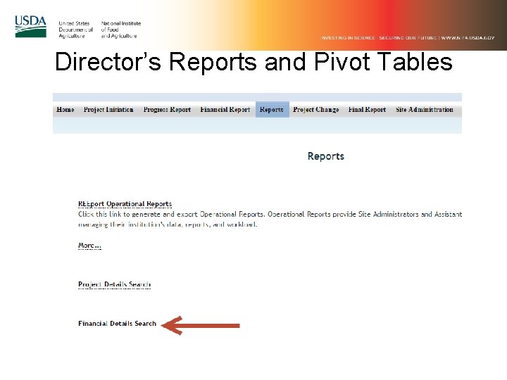 Director’s Reports and Pivot Tables 